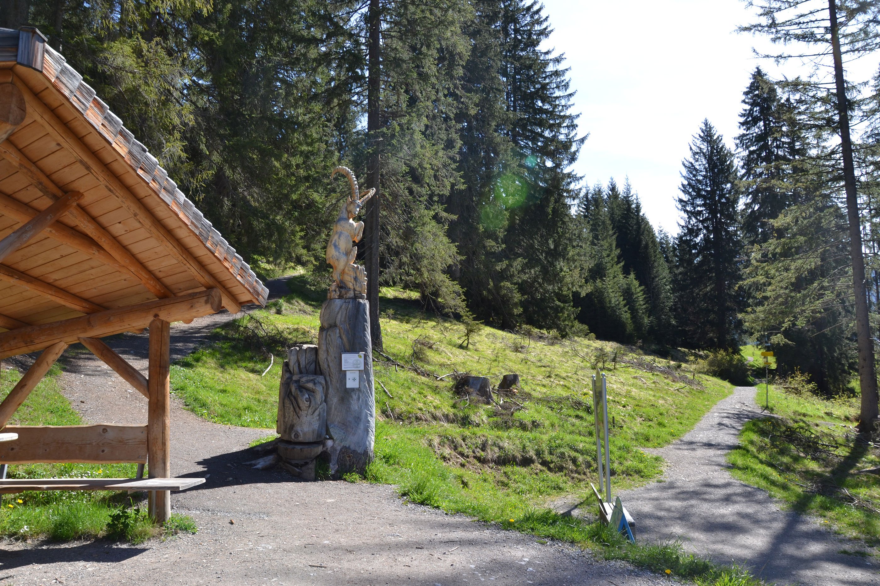 c-ulses-holzgau-haengebruecke-rundwanderweg-38.jpg