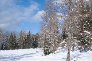 Aktuelles im März Aktuelles im März