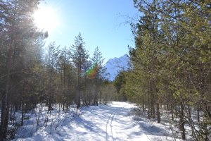 Tierspurenwanderung im Lechtal Tierspurenwanderung im Lechtal