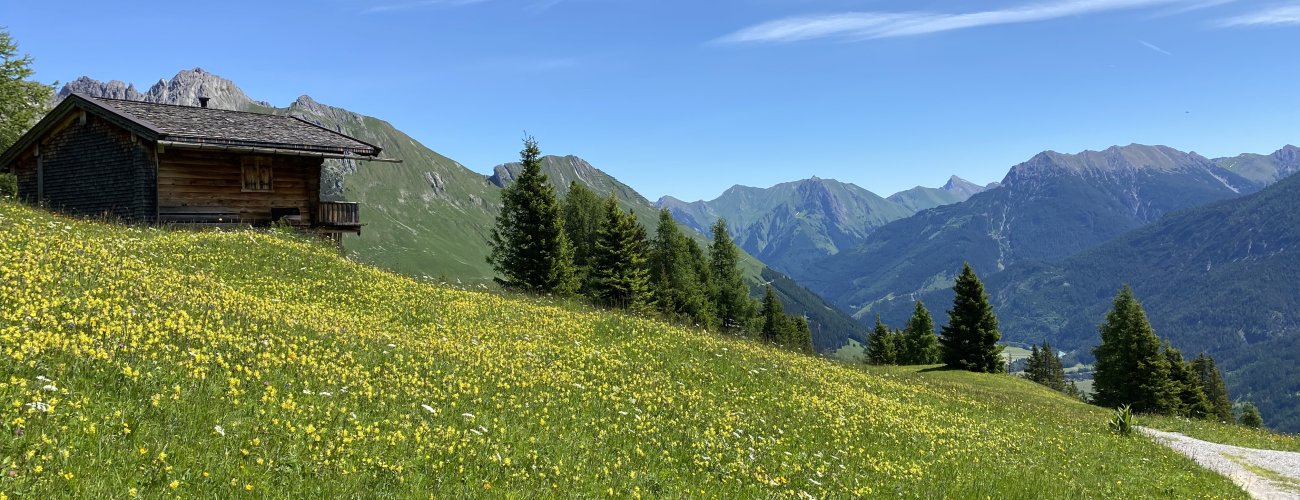 joechelspitze_lechtaler_panoramaweg_c_ulses_900.jpg