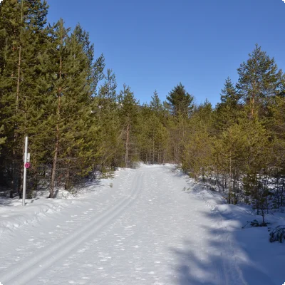 Langlaufen im Lechtal