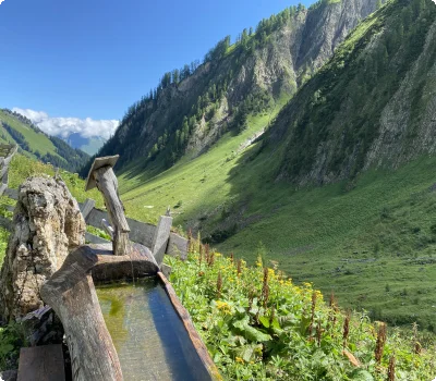 brunnen_baumgart_alm_bach_lechtal_3832.jpg
