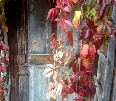 c-ulses-alte-tuer-herbst-1515.jpg