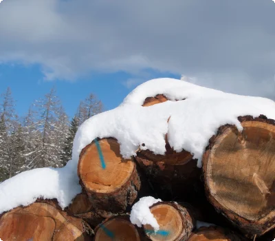 c-ulses-holz-winter-1270098.jpg