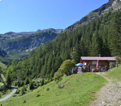 © Ulses Holzgau Dsc