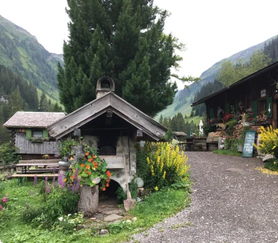 gamsvroni_steeg_lechtal_5682.jpg