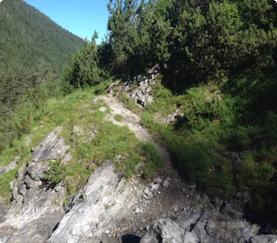 lechtal-jaegersteig-namlos-c-ulses-960.jpg